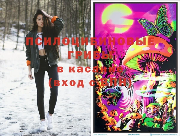 мяу мяу мука Абинск