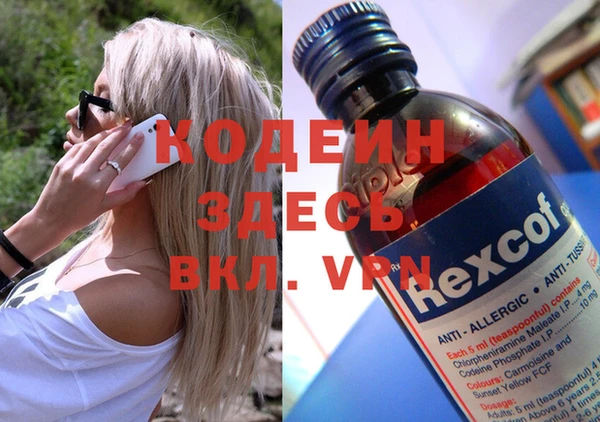 твердый Протвино