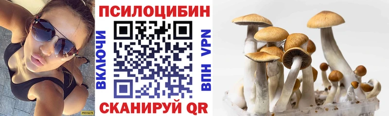 Псилоцибиновые грибы MAGIC MUSHROOMS  кракен зеркало  Торжок 