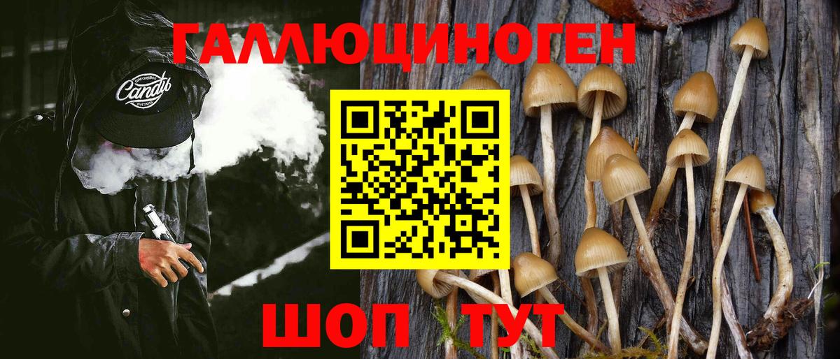 Торжок  Галлюциногенные грибы Psilocybe  где можно купить   Вход с VPN  Псилоцибиновые грибы Psilocybine cubensis 